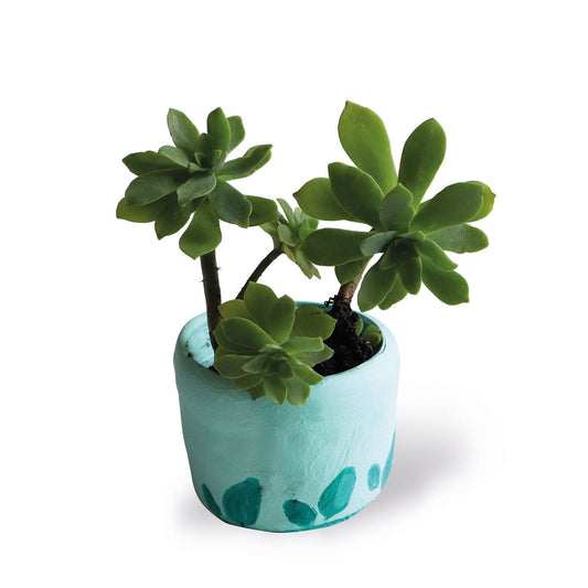 ZELFDROGENDE KLEI (GROEN/BLAUW)